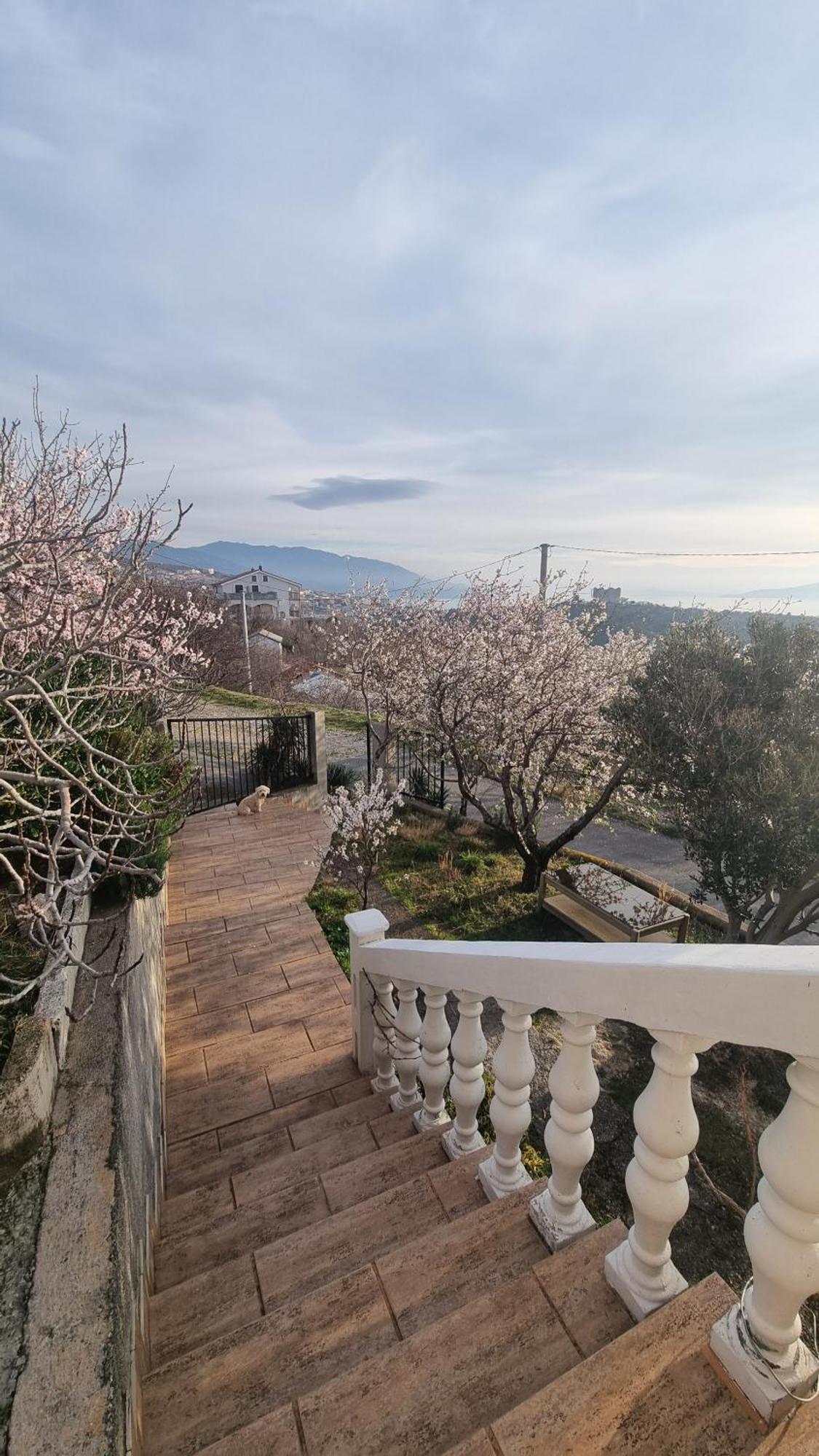 Apartman Pogled Na More セニ エクステリア 写真